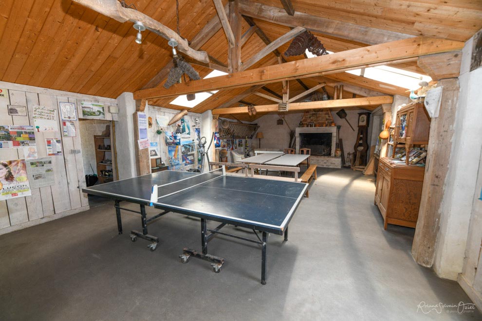 Table de ping pong location de salle